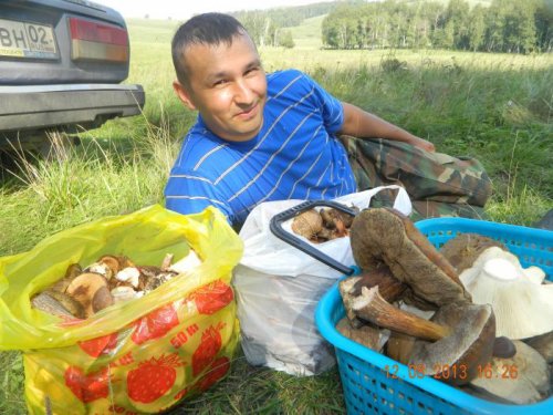 Грибочков собрали.