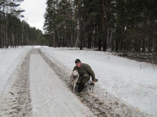 Идем с притравки 