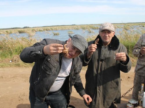 поедание шулюм булюма