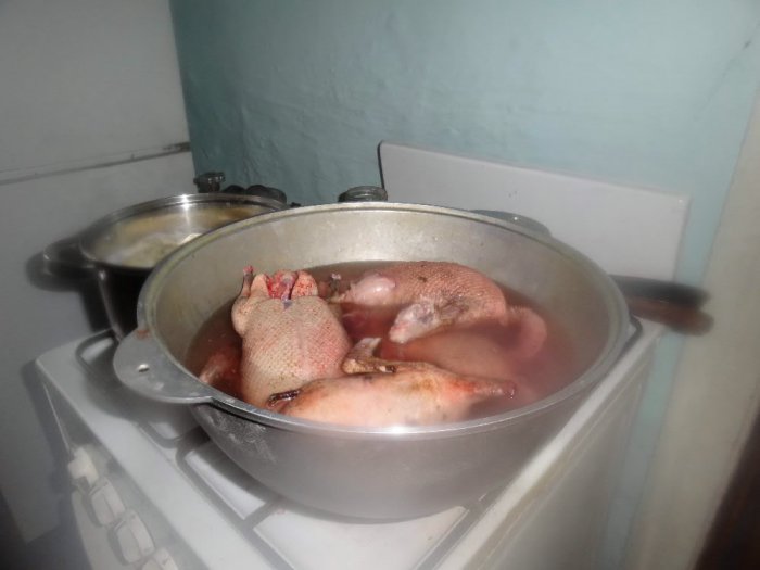 а они думали что купаются,пока вода не закипела))