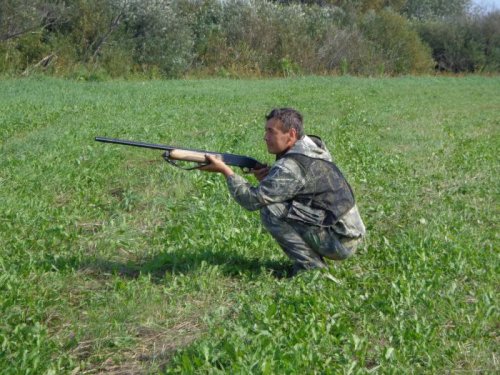 Сейчас налетят.