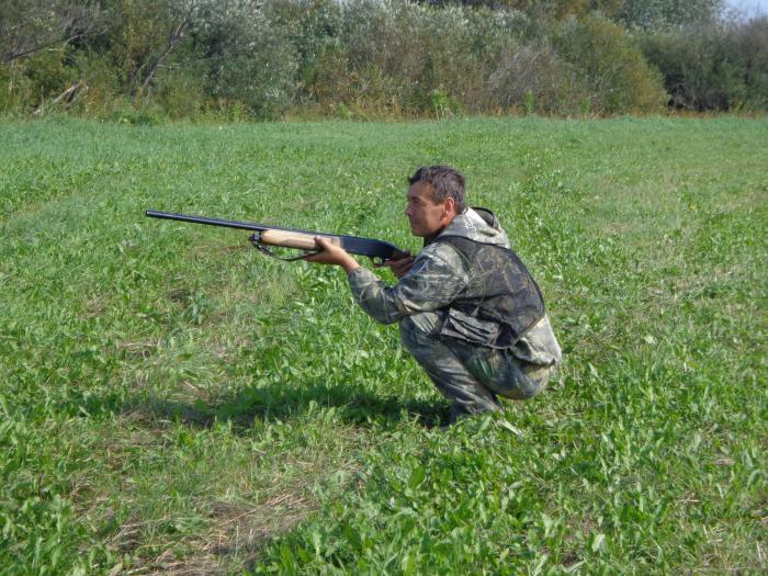 Сейчас налетят.