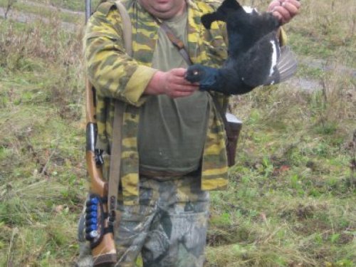 тетерев
