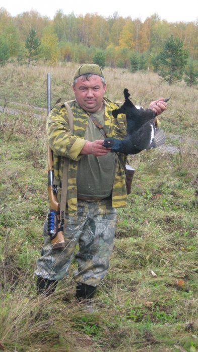 тетерев