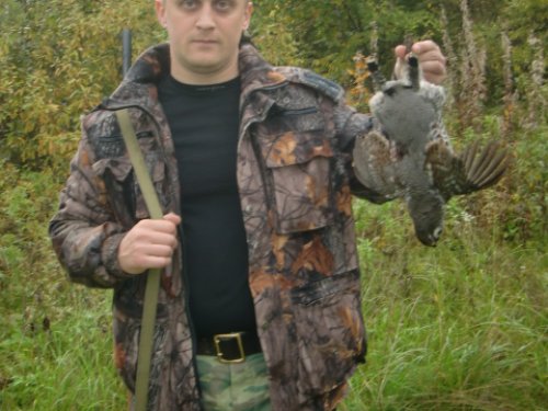 и снова рябчик