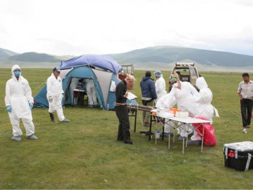 Свято место пусто не бывает…
