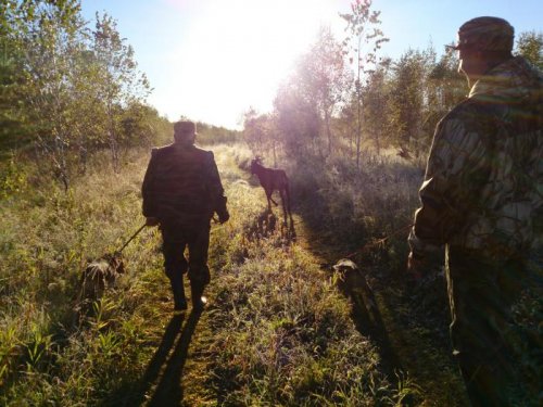 В нагонном.