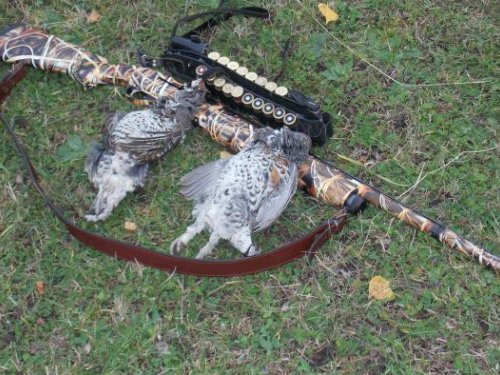 Рябые