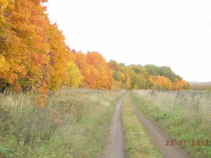 осень.