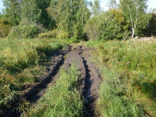 Такие вот места...., нынче в поля только так, почти везде на дальние кардоны.