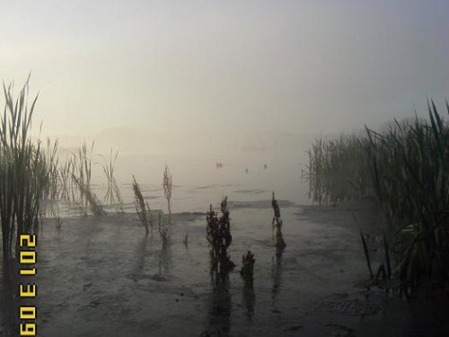 утро,зорька,туман и мороз