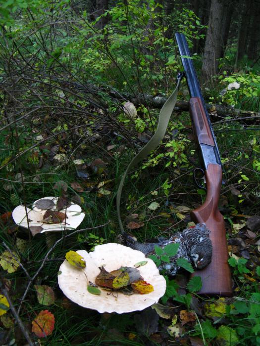 Рябчик с грибами