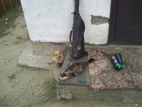 после утрянки