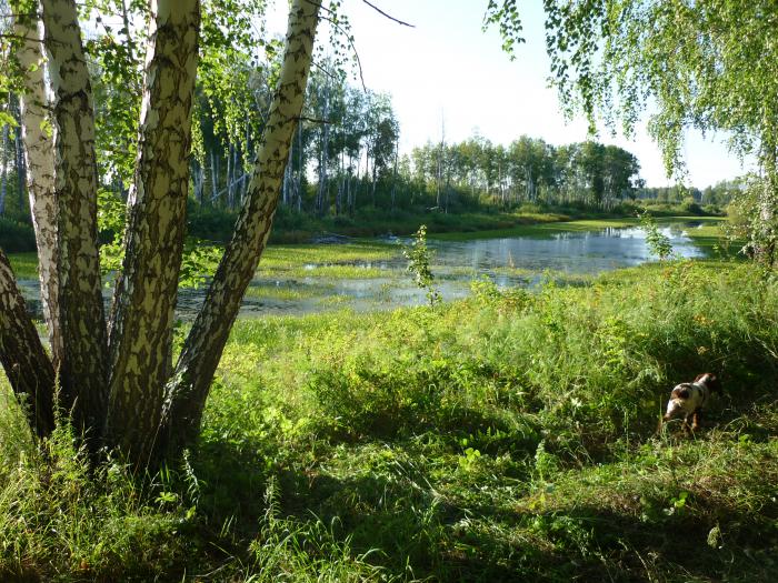 перед вечёркой......