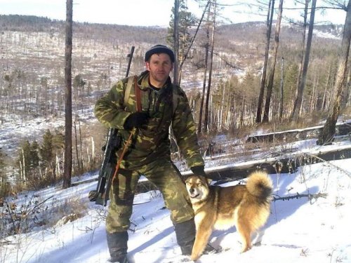 Виноват - упустил кабанчиков
