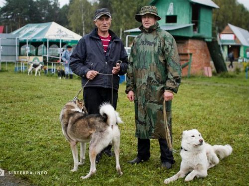 На выставке со старыми друзьями(18,09,13)