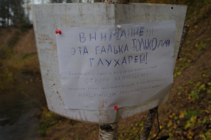 Мое последнее предупреждение косачам....Бойтесь, гады!!!