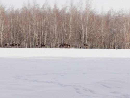 Насторожились. Такие фото долго приносят приятные поспоминания.