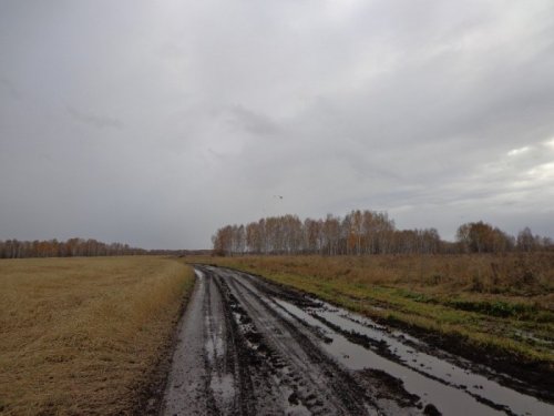 Такие сегодня были дороги.