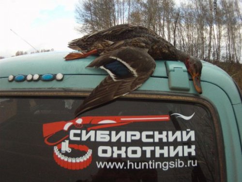 Результат сегодняшней охоты.