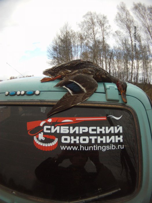 Результат сегодняшней охоты.