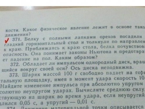 Кто нибудь на такую белку охотил?