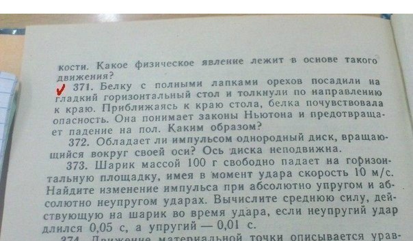 Кто нибудь на такую белку охотил?