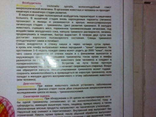 не забываем