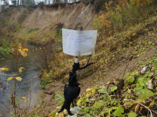Опять та же история , караулил на гальке ТЕХ, а прилетели ЭТИ.....