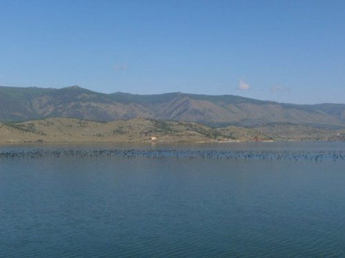 пернатые на Байкале