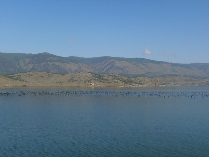 пернатые на Байкале