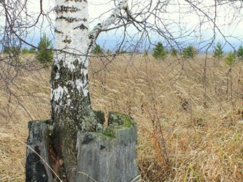 Жизнь продолжается