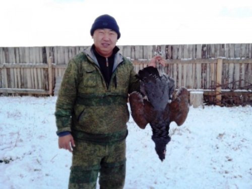 Добыл сегодня глухаря