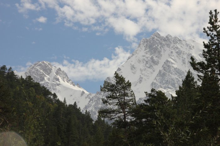 красота