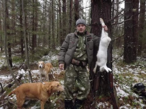 трудовой зайка