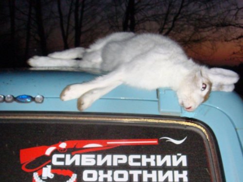 Вчерашний результат (30.10.13г.)