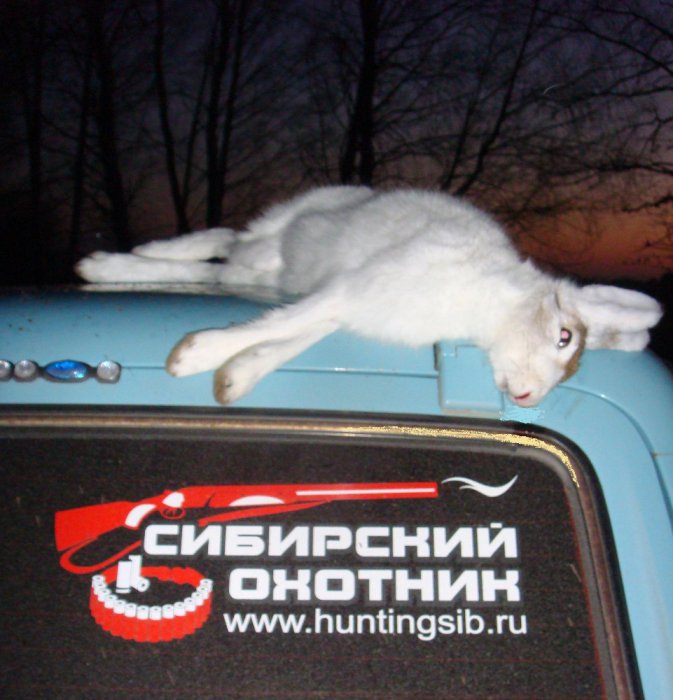 Вчерашний результат (30.10.13г.)