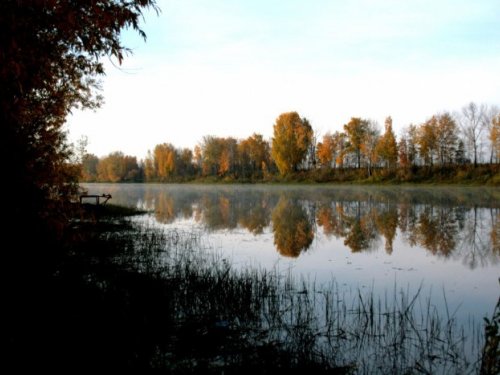 Малая Курья