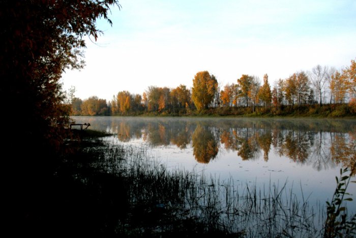 Малая Курья