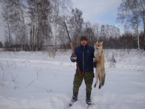 Лиса, сезон 2012