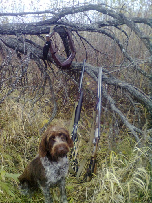 вот мы и созрели