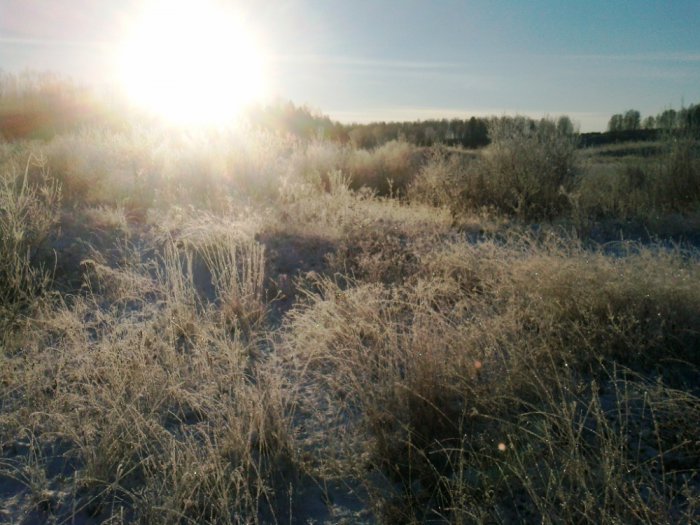 Морозное утро
