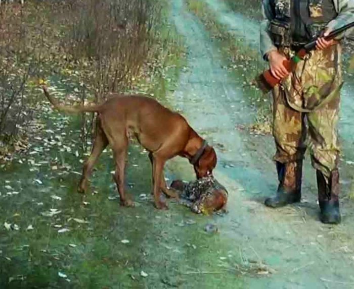 Еще добыча