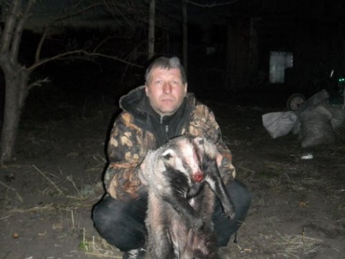 барсук 1