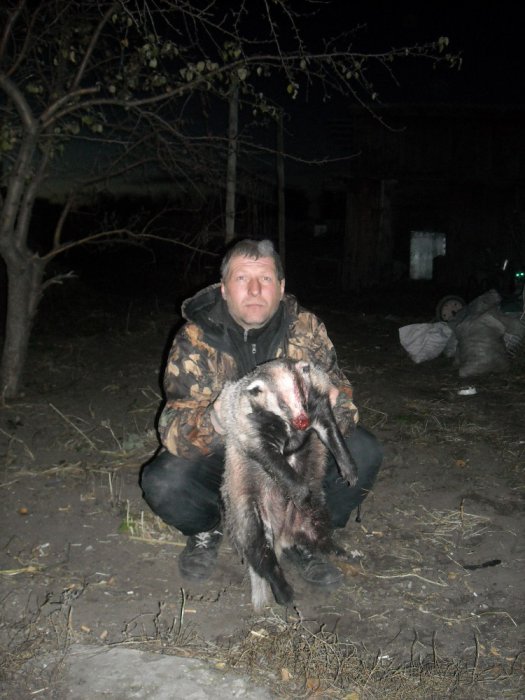 барсук 1