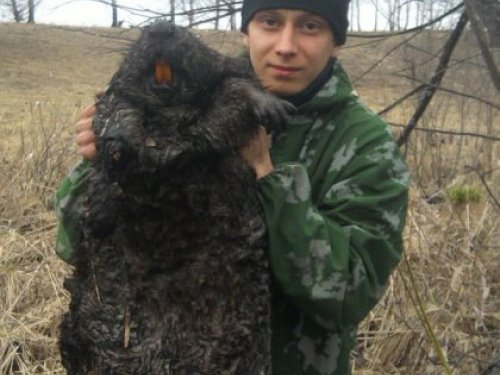 бобрик