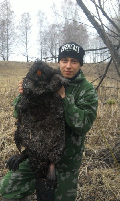 бобрик
