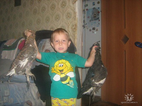 Наследник !