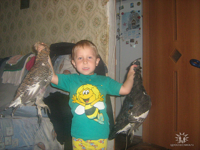 Наследник !