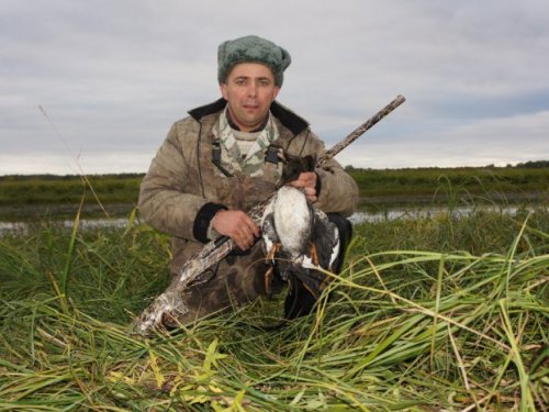 побеседовал с гогликами